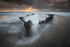 Wreck of the Sunbeam 4