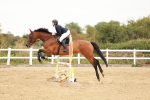 SBM_008766