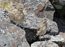 On the moors portfolio