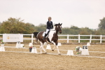 SBM_004609