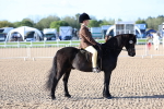 SBM_07831