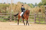 SBM_001946