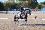 BPP_9528