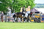 SBM_12262