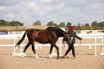 SBM_03800