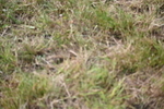 WJ6_5829