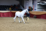 SBM_19973_Class A - unior Champ 10yr and under