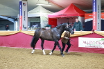 SBM_15988