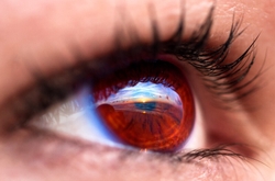 SunBeachWater  _0055