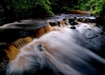 River Rivelin (01)