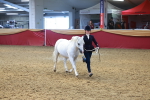 SBM_16648