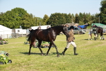 SBM_19298