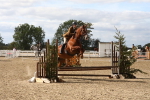 SBM_16397