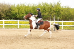 SBM_004067