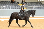 SIAL2706