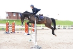Cls 35 Young Horse 7yr old portfolio