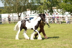 SBM_08650