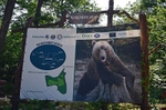 Libearty Bear Sanctuary, Zărneşti, Brașov County, Romania