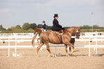 SBM_06712