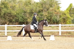 SBM_002651