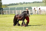 SBM_08595