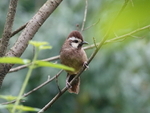 CHINA__0332