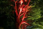 Westonbirt _WB033