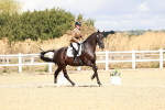 SBM_004234