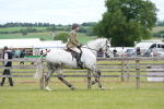 SBM_14880