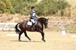 SBM_002529