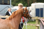 SBM_00382