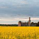 Ducketts Grove, Carlow