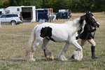 WJ6_6472