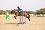SBM_001673