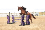 Class 7 - Senior 1.15m Open Inc National 1.15m Members Cup Qualifier portfolio