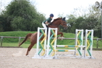 Clear Round portfolio