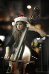 Picturing the Orchestral Family portfolio