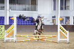 SBM_003941