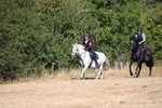 WJ6_8129