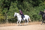 WJ6_8147