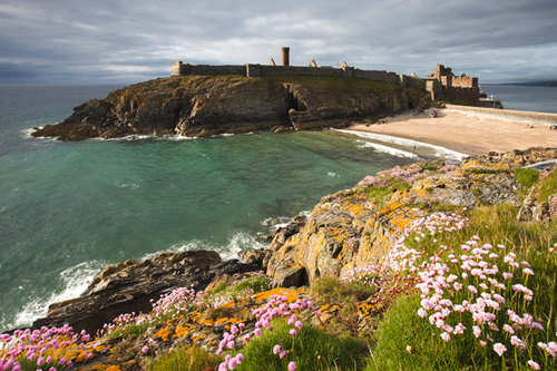 Glorious evening sunshine at Peel, with the thrift out in flower.