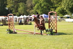 SBM_11199