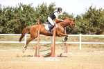 SBM_000902