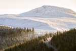 Shutlingsloe (5)