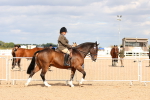 SBM_15461