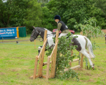 Dunblane show-186