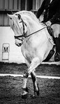 FB Edits portfolio