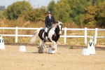 SBM_016743