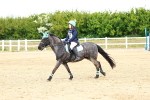 SBM_008045