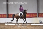 BPP_9006